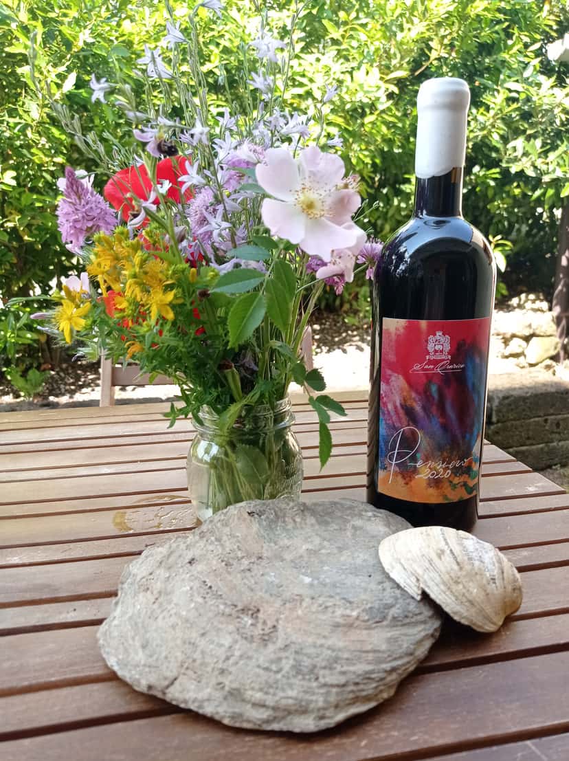 Tuscan Wine & Vineyard Tour at San Quirico