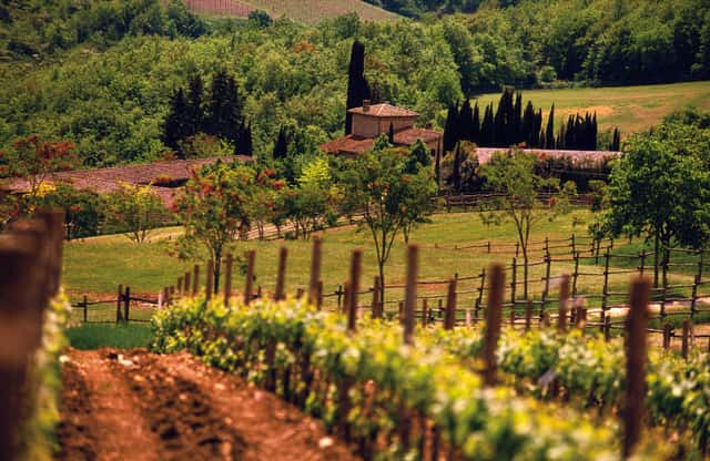 Tenuta Degli Dei