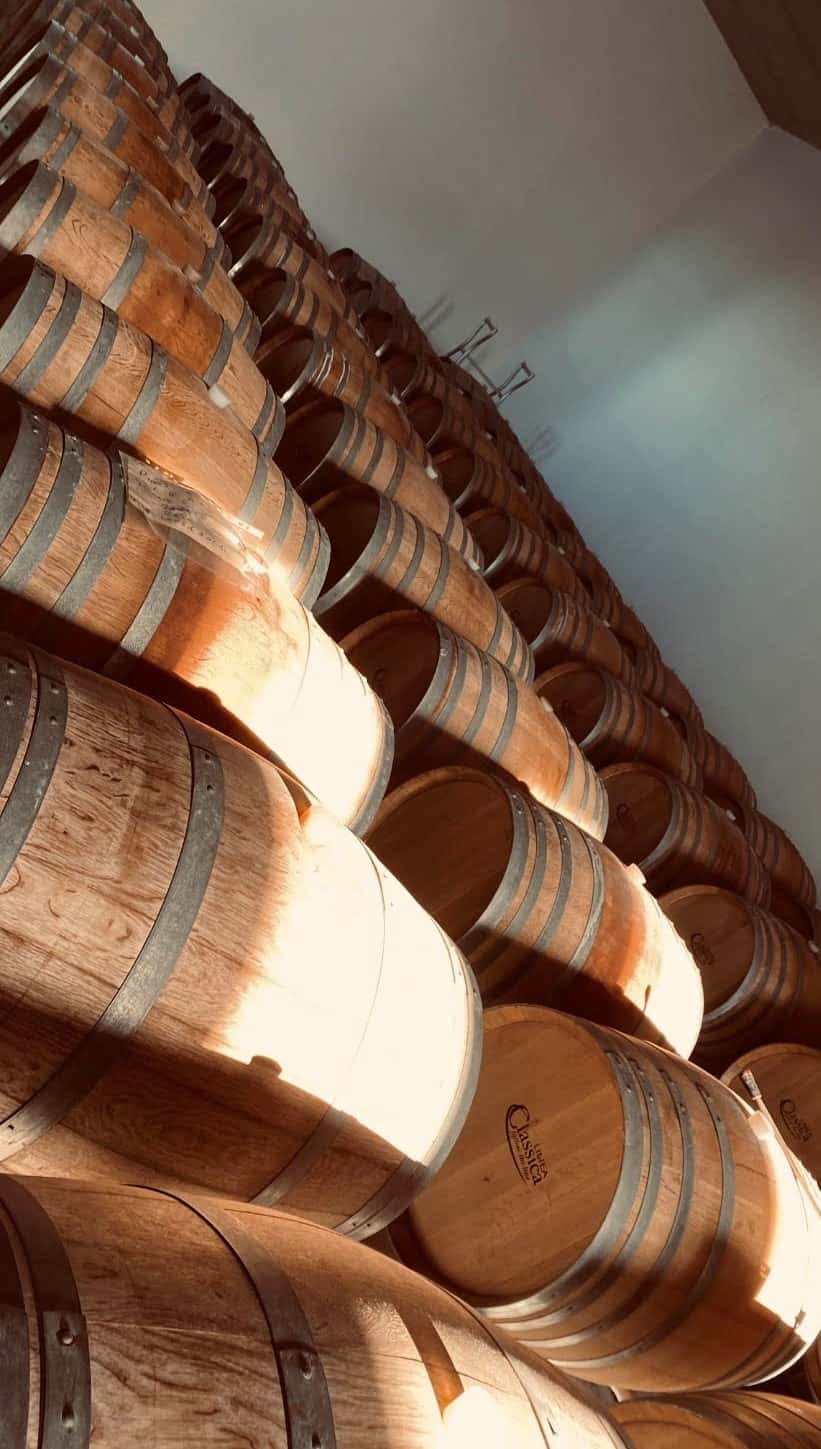 Sicily Wine & Vineyard Tour at Tola Winery