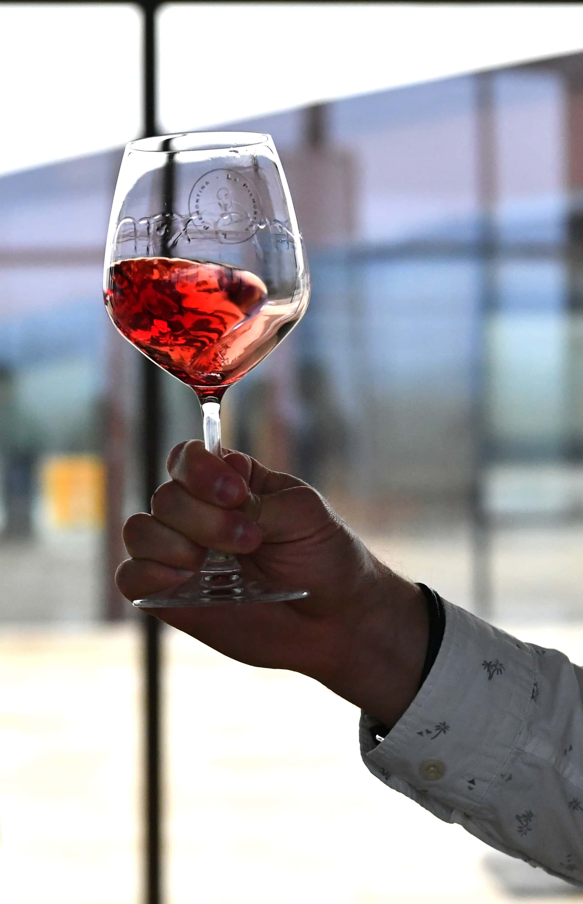 Vinprovningsupplevelse på La Piemontina