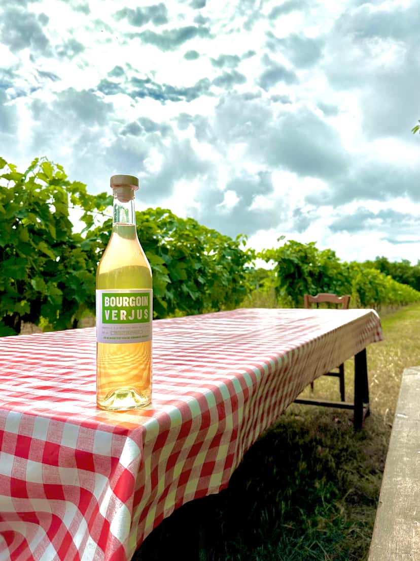 Cognacprovning och picknick på Domaine Bourgoin Cognac