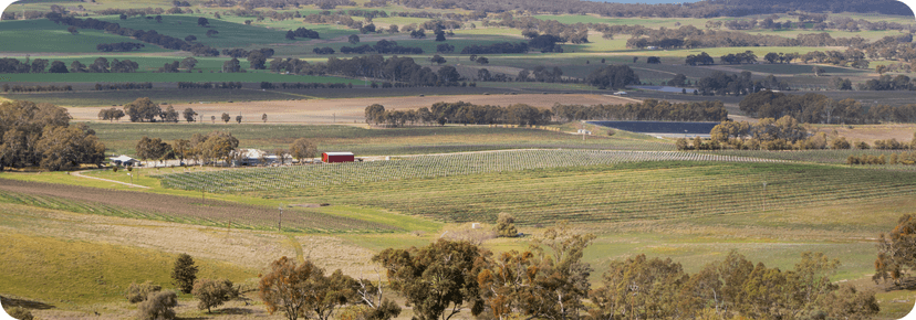 Clare wine city