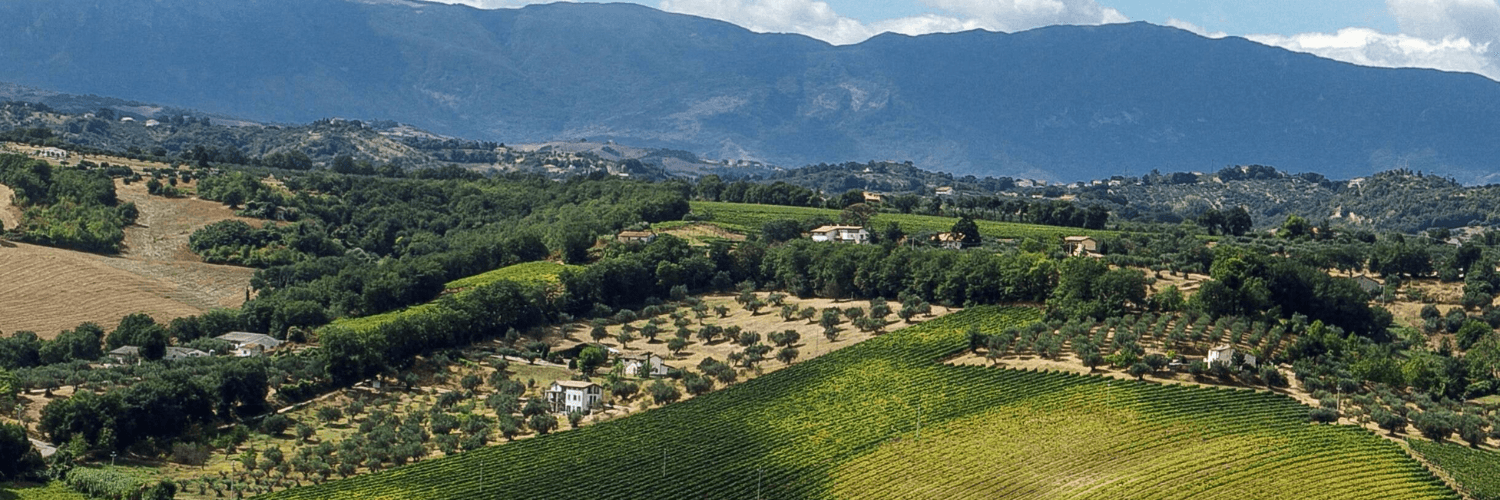 Degustação de vinhos e tour na Tenuta Arabona