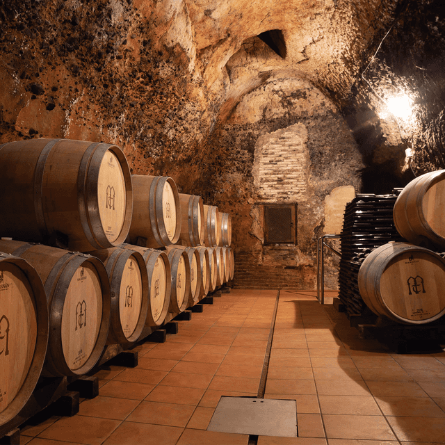 Bodega Muelas