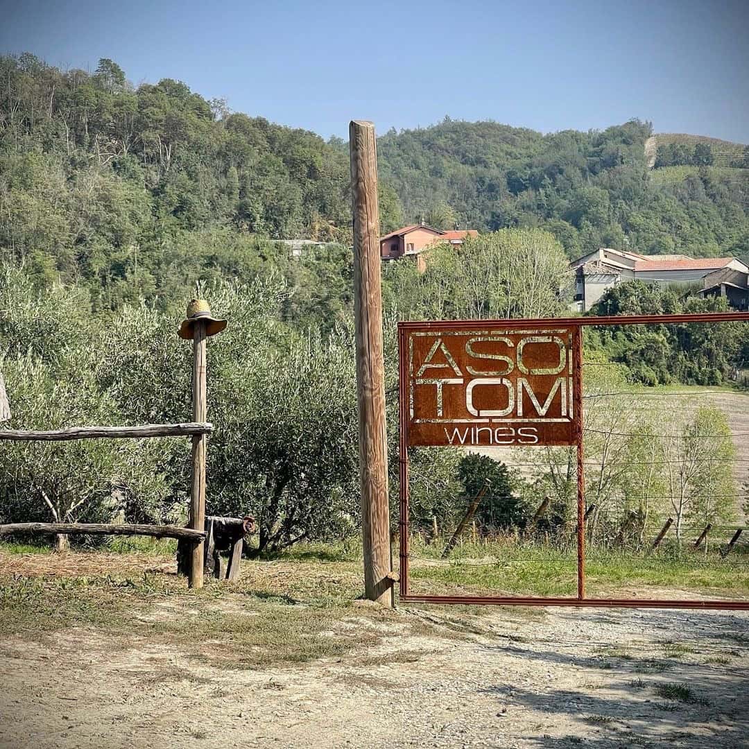 Faça seu vinho