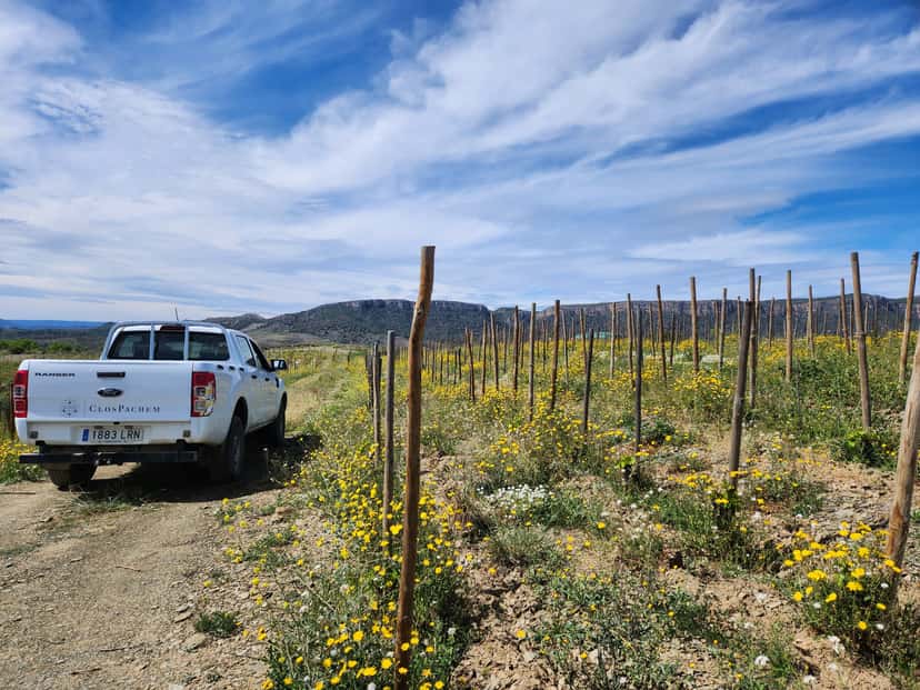 Catalonia Wine & Vineyard Journey at Clos Pachem