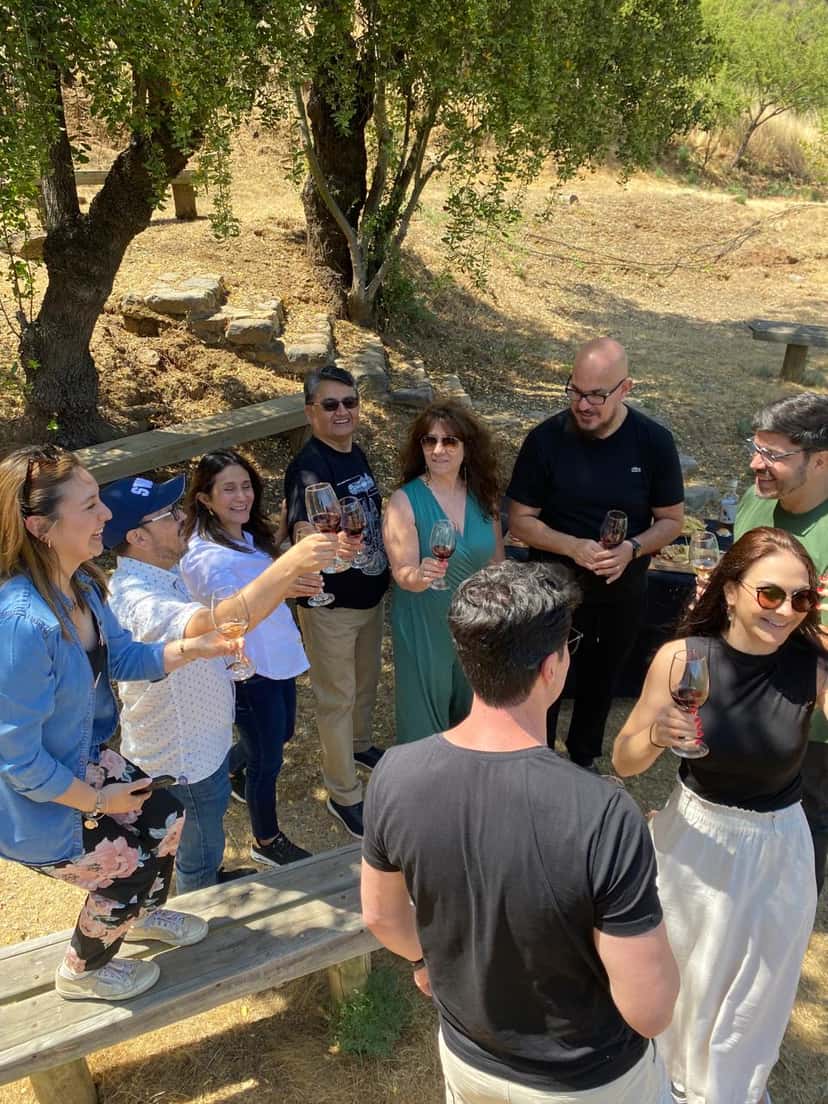 Family Vintage Tasting Tour - Melipilla