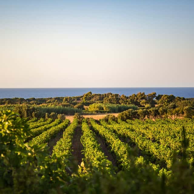 Cantina Ligios