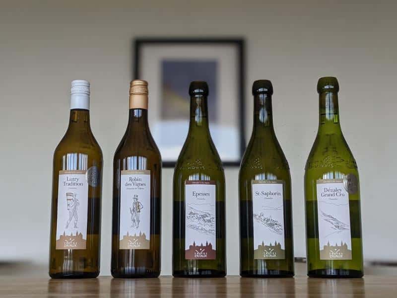 Vaud Chasselas Tour: Taste 4 Terroirs at Lavaux