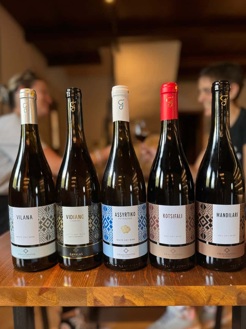 Tour zu einheimischen Sorten im Weingut Fragospito