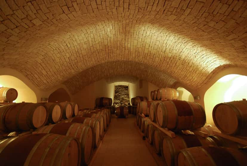 Veneto's Organic Wine & Farm Tasting at Contra' Soarda