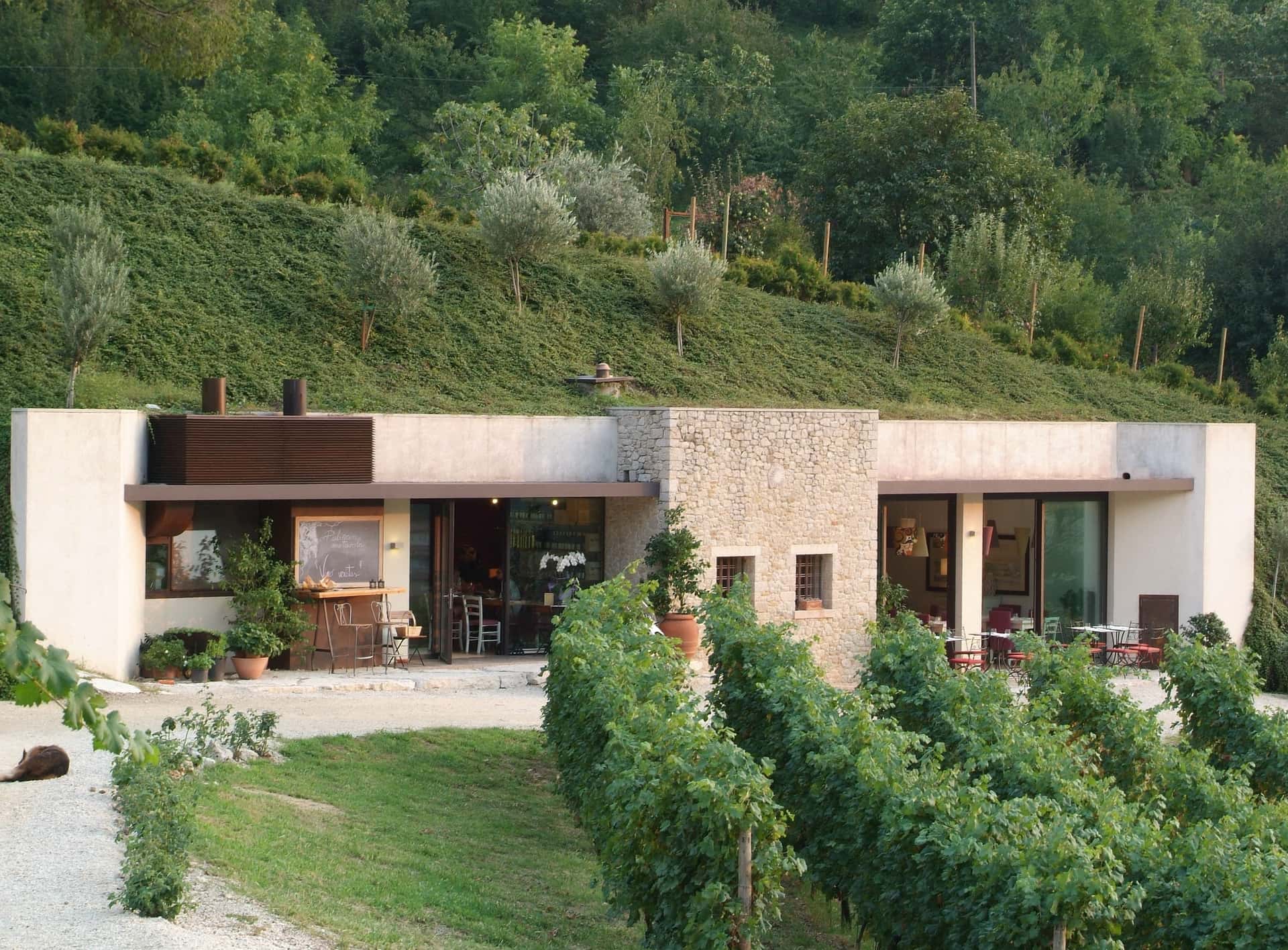 Explore Veneto: Gourmet Tasting at Contrà Soarda