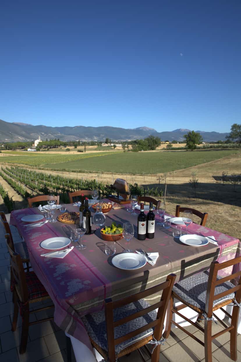 Taste 4 Umbrian Wines with Local Food Pairings