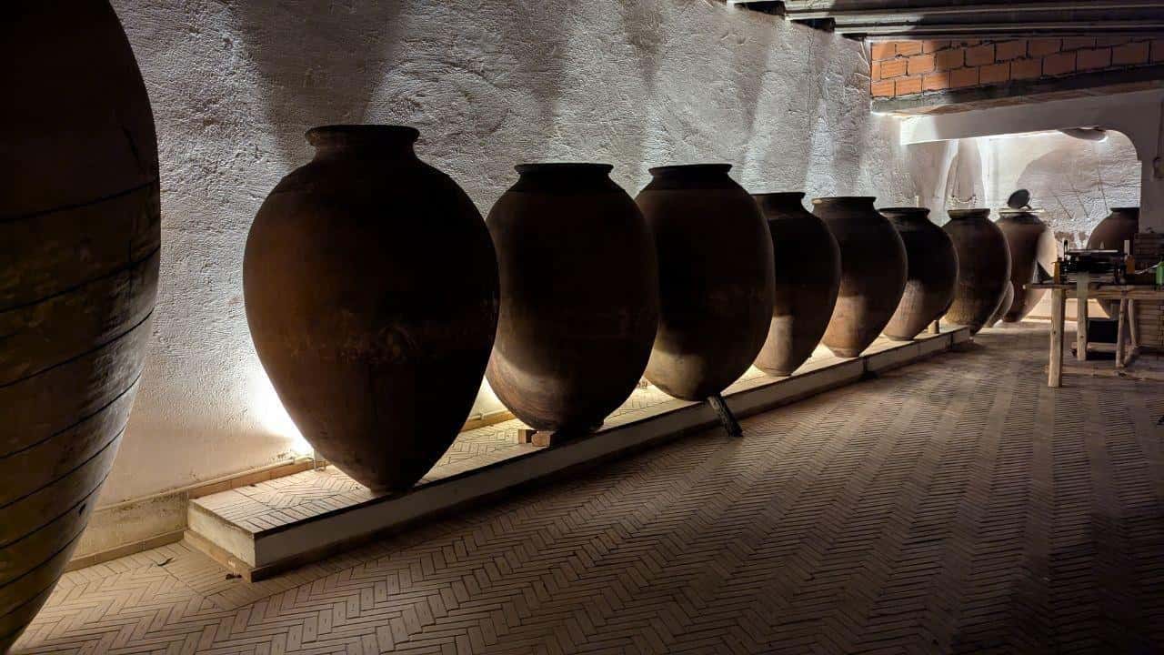 Dégustation de vins en amphore au domaine Malápio à Bairrada