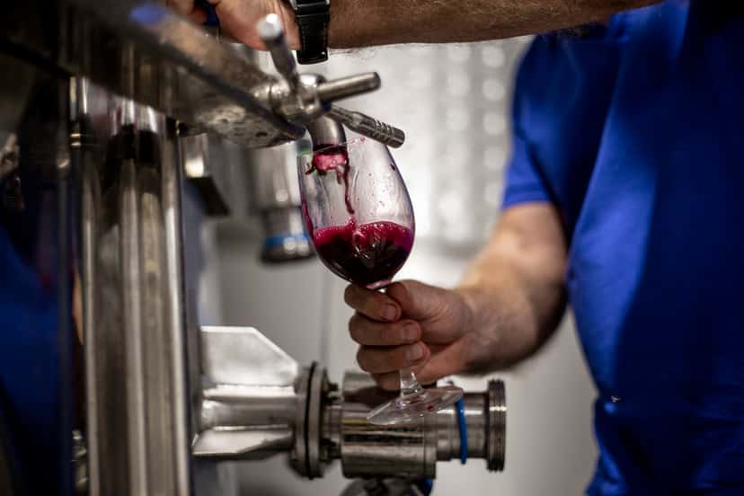 Alentejo Winemaker Blend & Taste Adventure