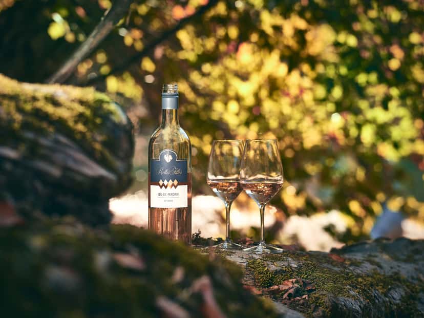Three iconic wines to discover Geneva’s terroir