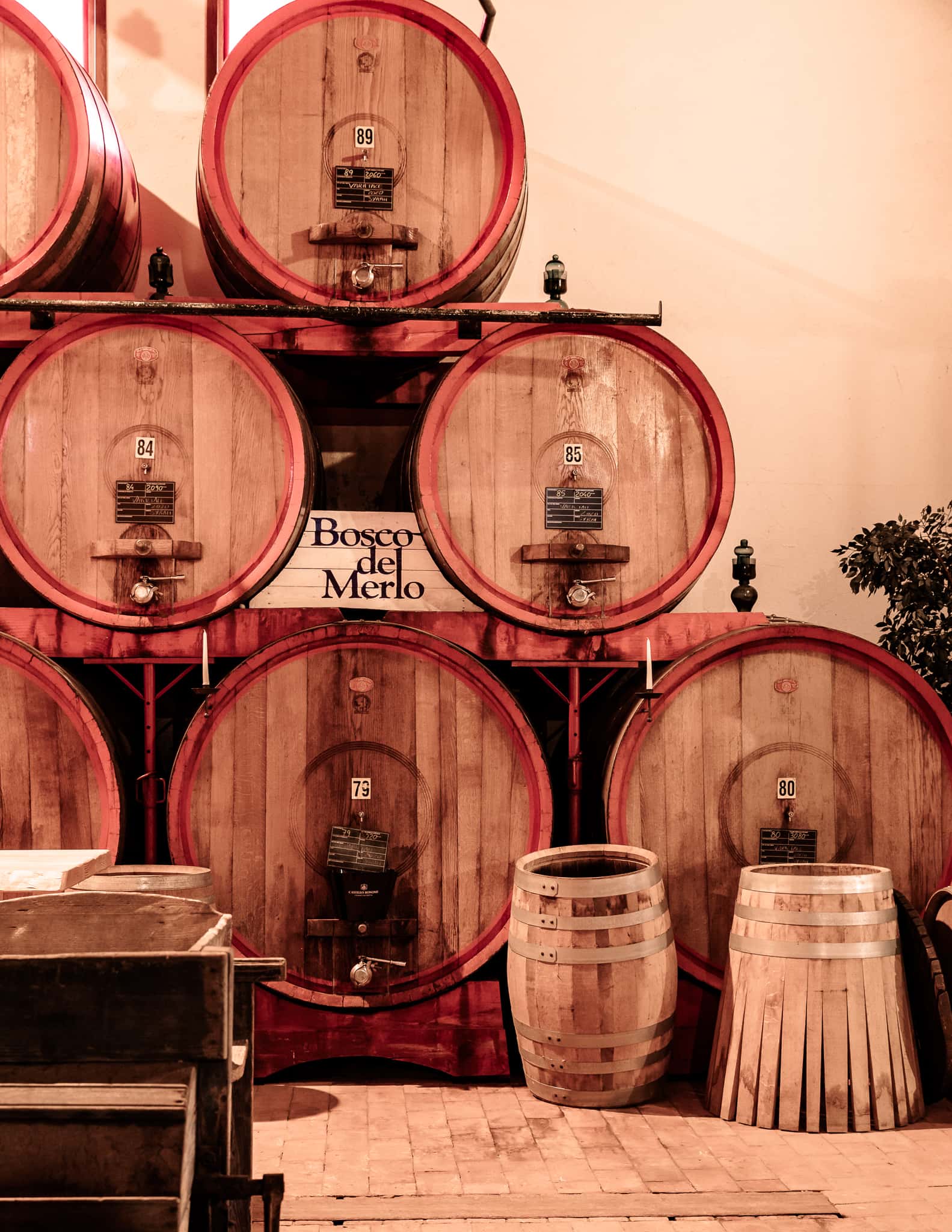 Tradition Tour - Tour de vinhos na Casa Paladin