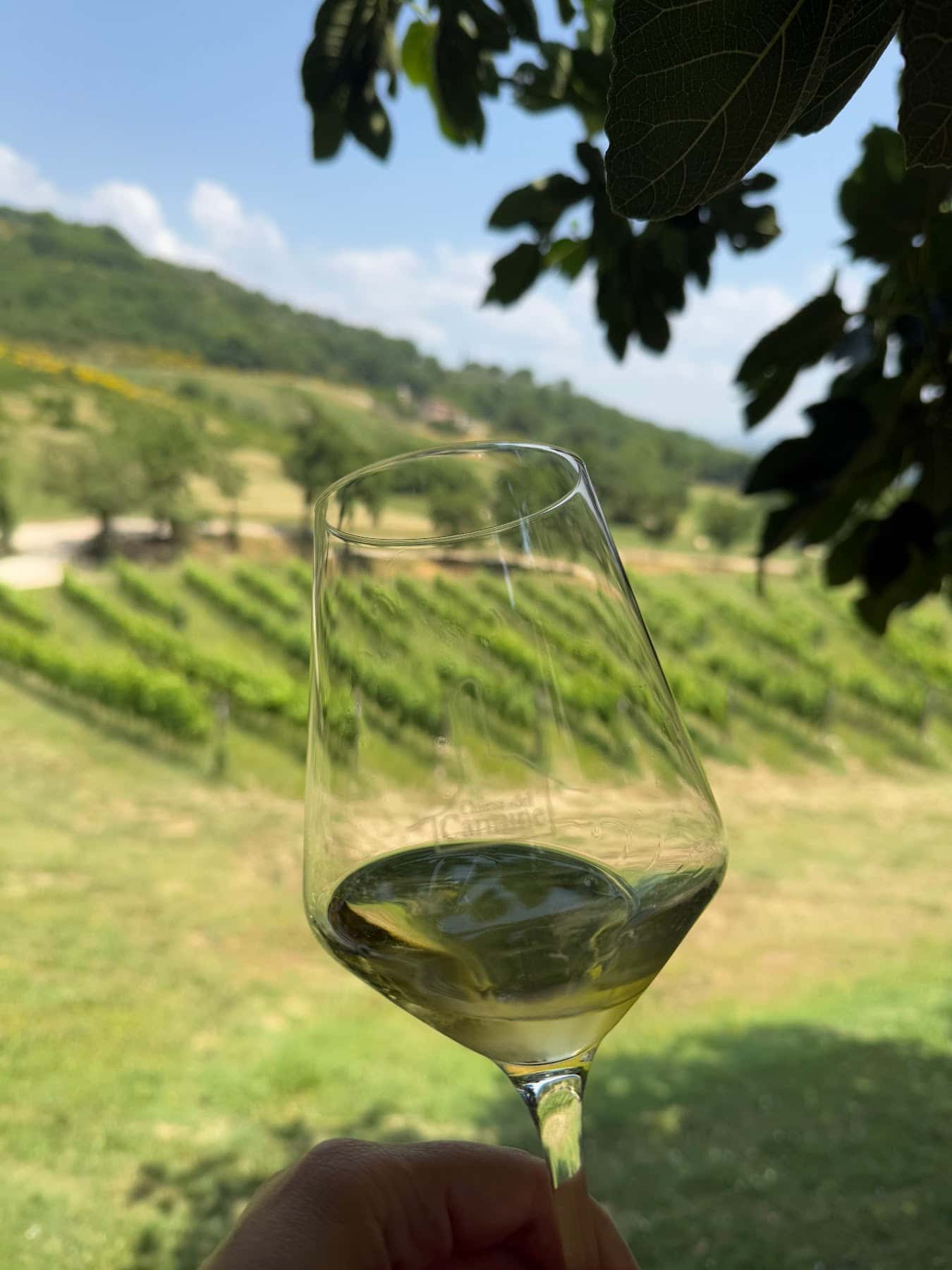 Degustazione Classica at Chiesa del Carmine