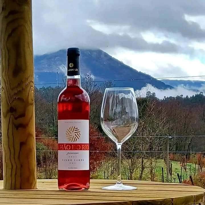 Degustação de 3 vinhos com harmonização de alimentos.