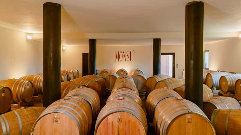 Vinprovning "Gran Monsú"