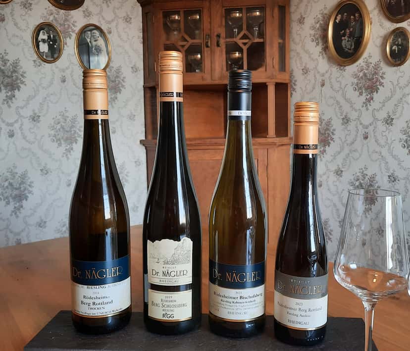 Cata de vinos y visita guiada en Weingut Dr. Nägler para dos personas