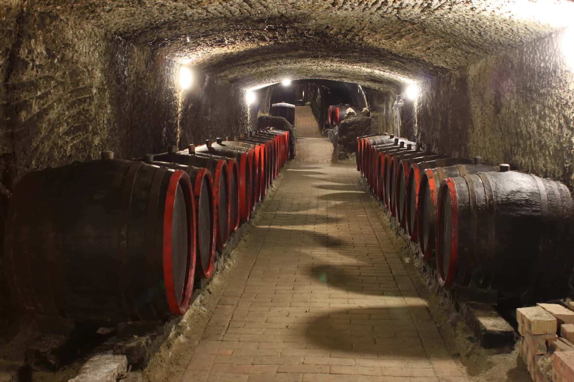 Vinprovning med Tokaji Aszú i en vinkällare som finns med på…