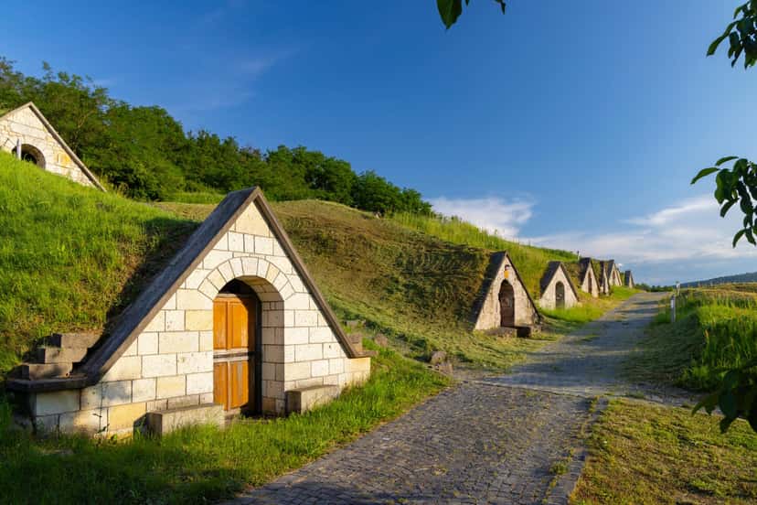 Wine Tasting with Tokaji Aszú at a UNESCO Heritage Wine Cellar