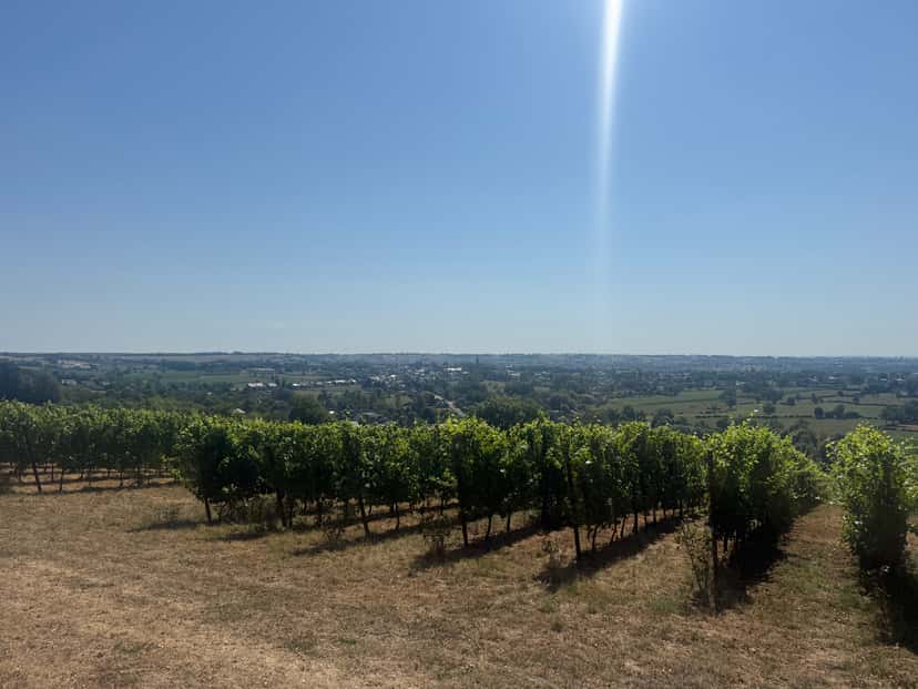 Visit and tasting of Herve Country Wine