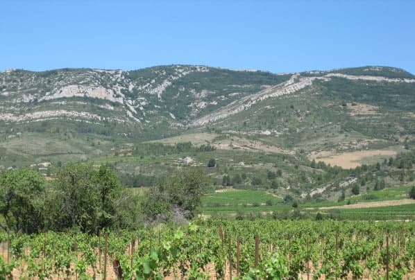 Château Mansenoble foto 2
