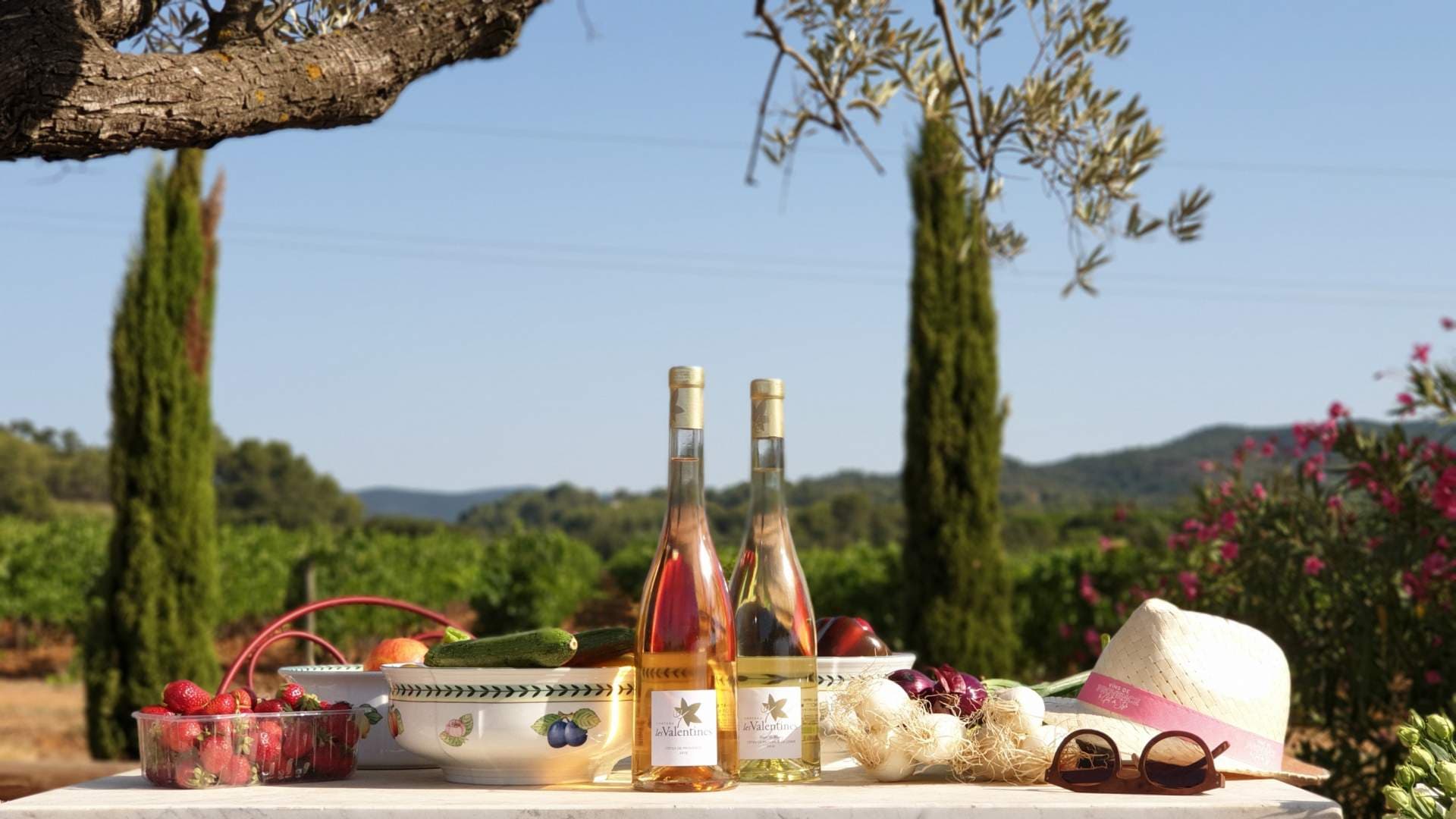 Dégustation et visite de vins au Château Les Valentines photo 2