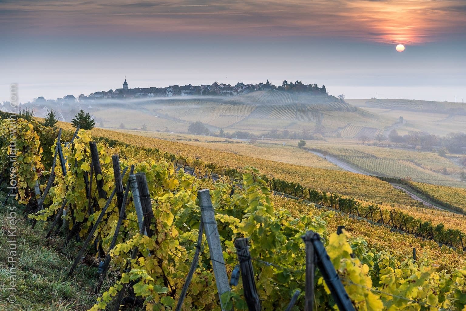 Wine Tasting Experience at Domaine Eblin-Fuchs