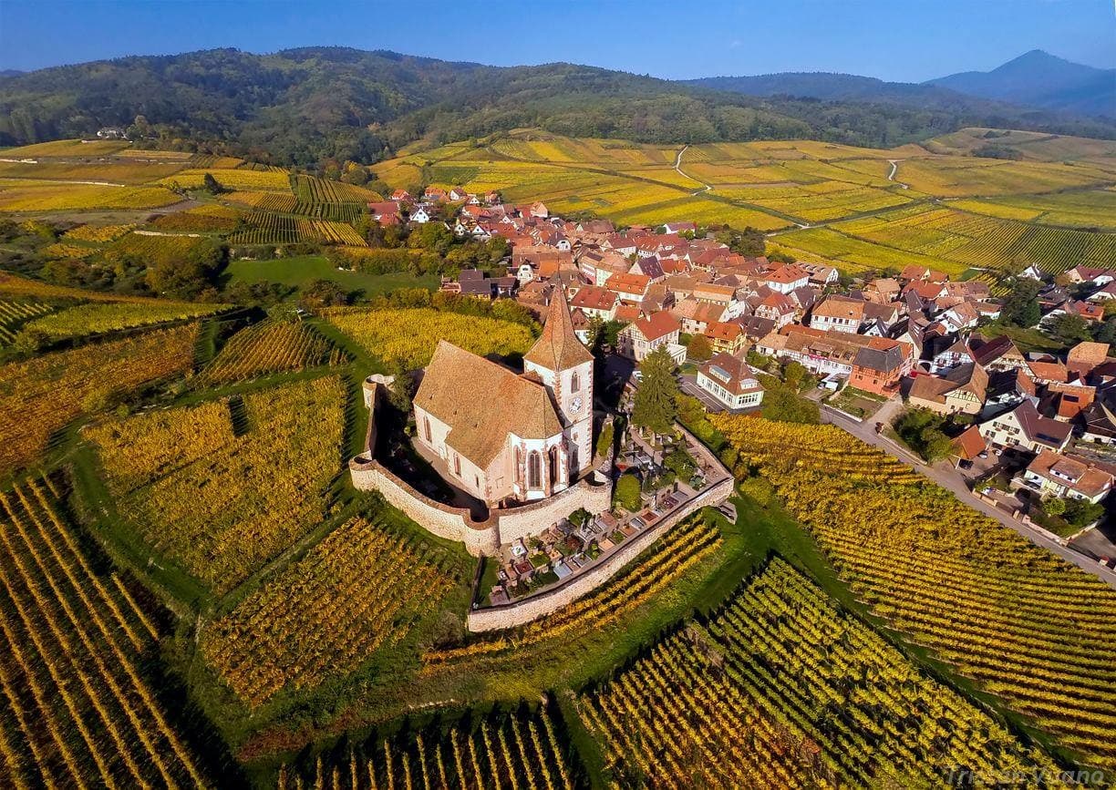 Domaine Eblin-Fuchs photo 1