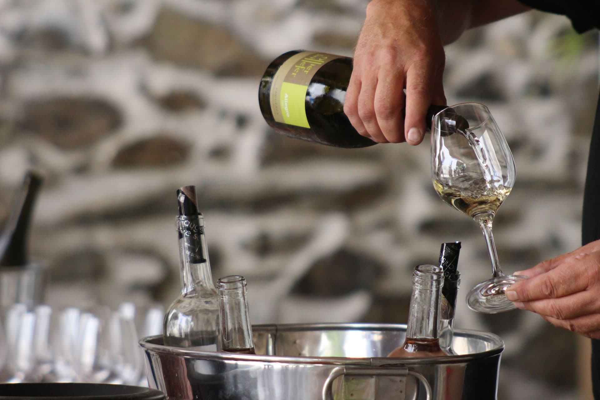 Domaine Ollier Taillefer foto 4