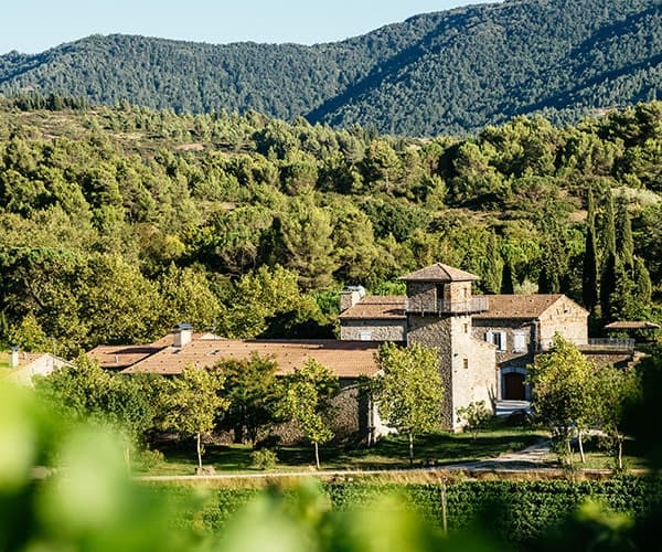 Calmel & Joseph Winery foto 3