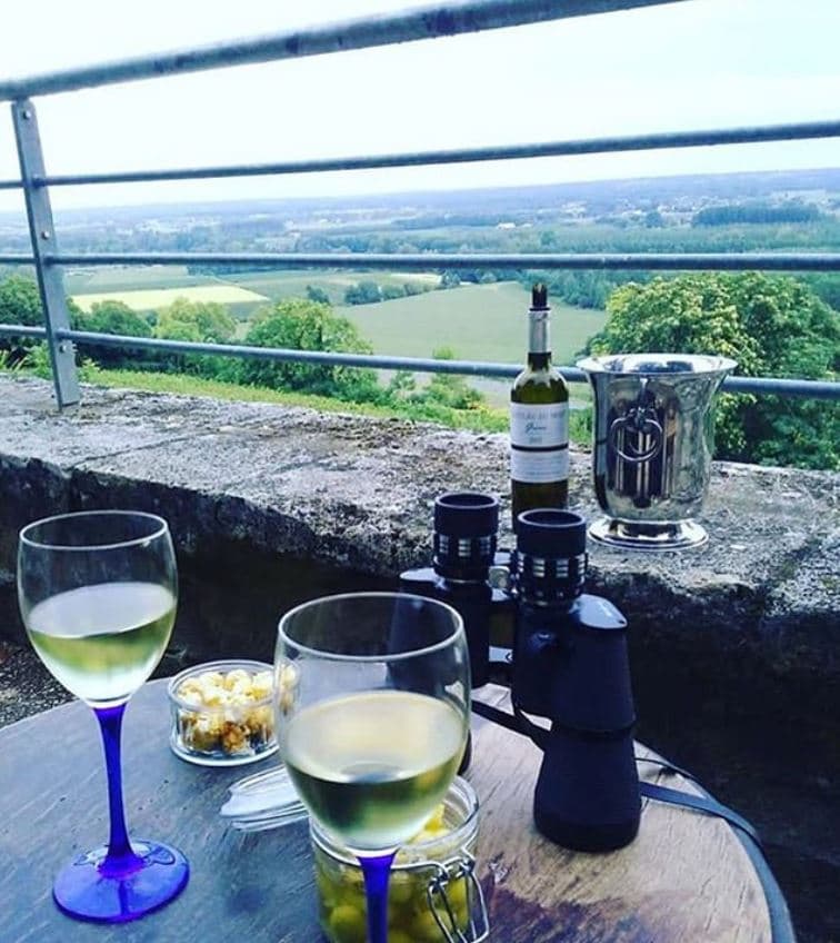 Degustação de vinhos e passeio no Château du Mont foto 3