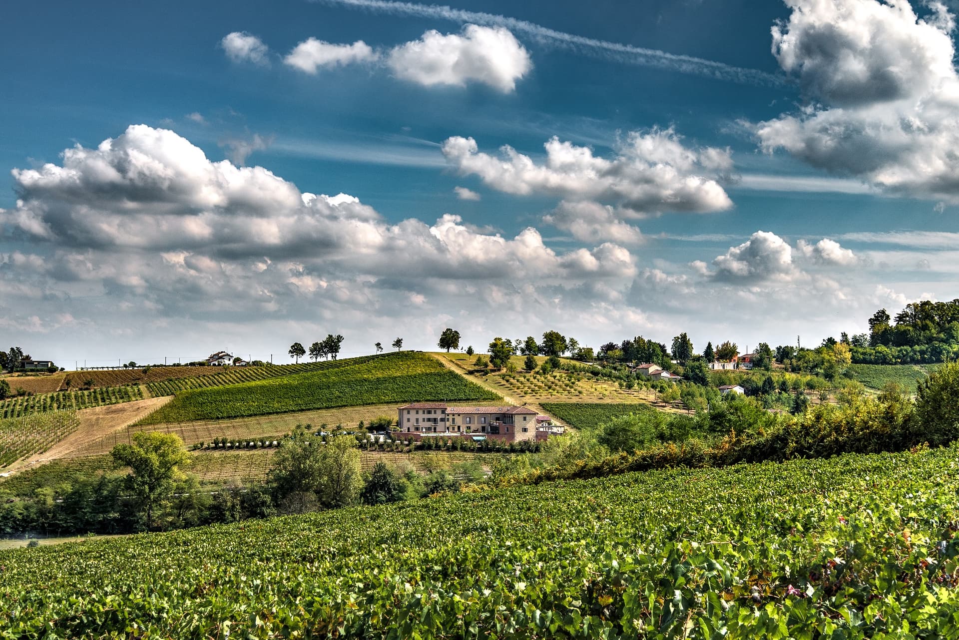Premium vinprovning och rundtur på Cascina Faletta foto 4