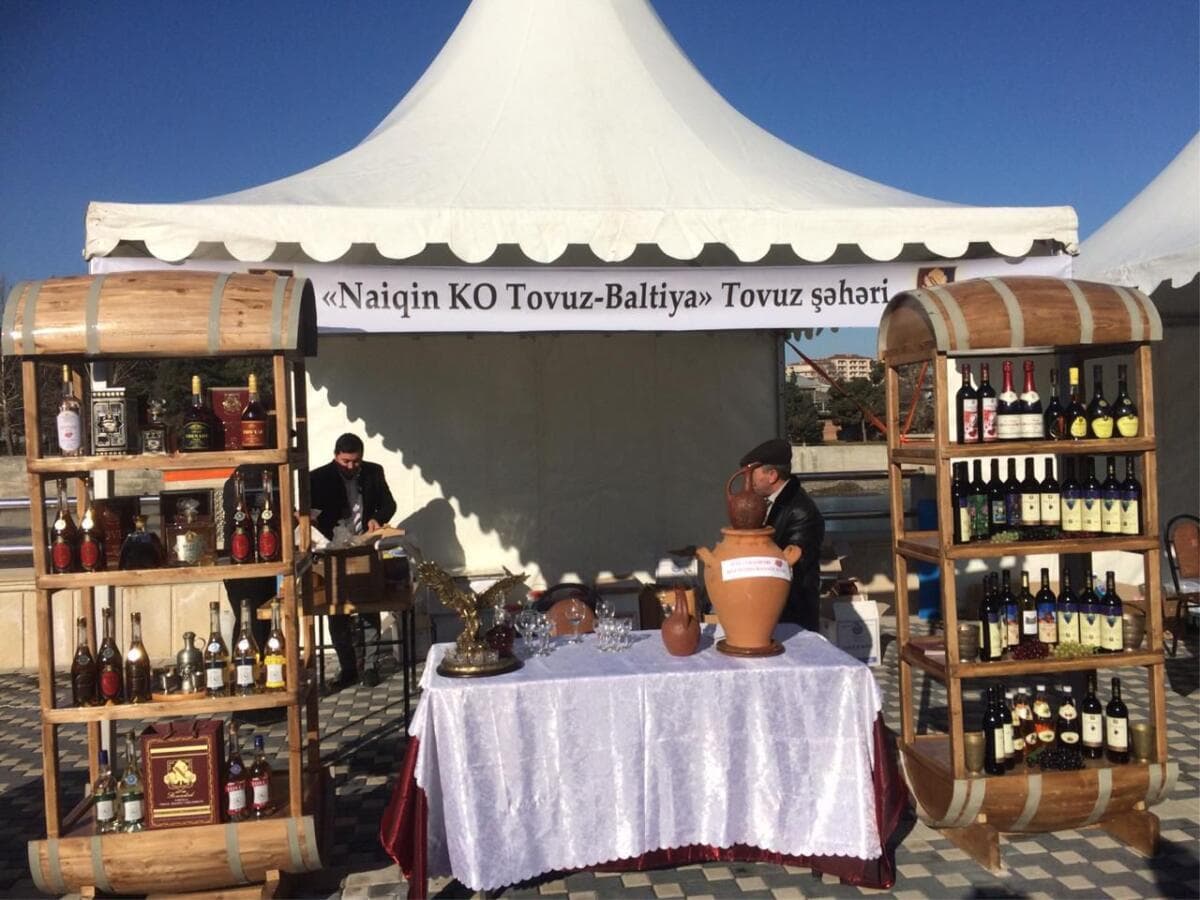 Dégustation de vins et visite à Tovuz Baltiya photo 4