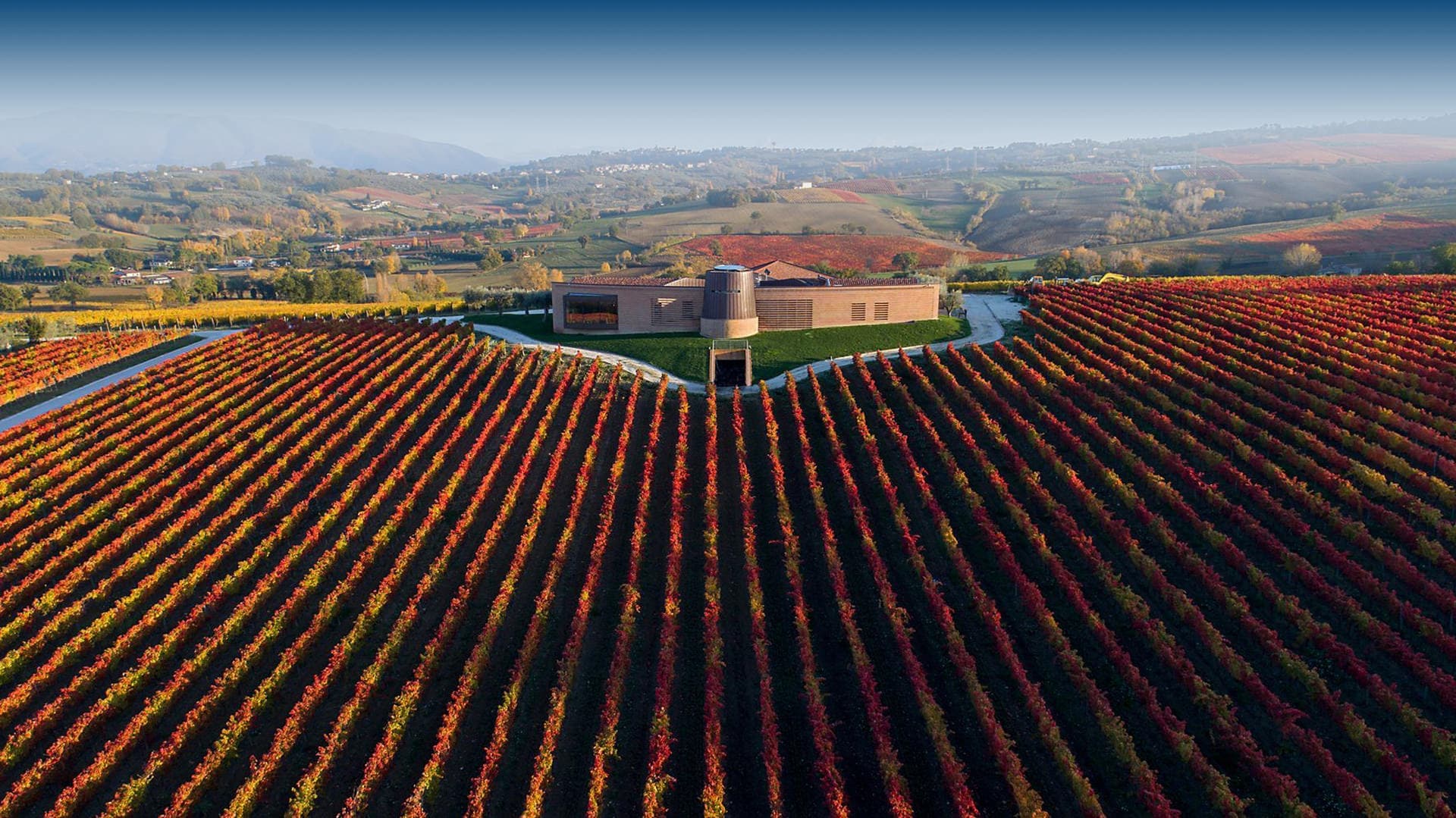Tour e Degustação "Sagrantino 100%" | Cantina Briziarelli