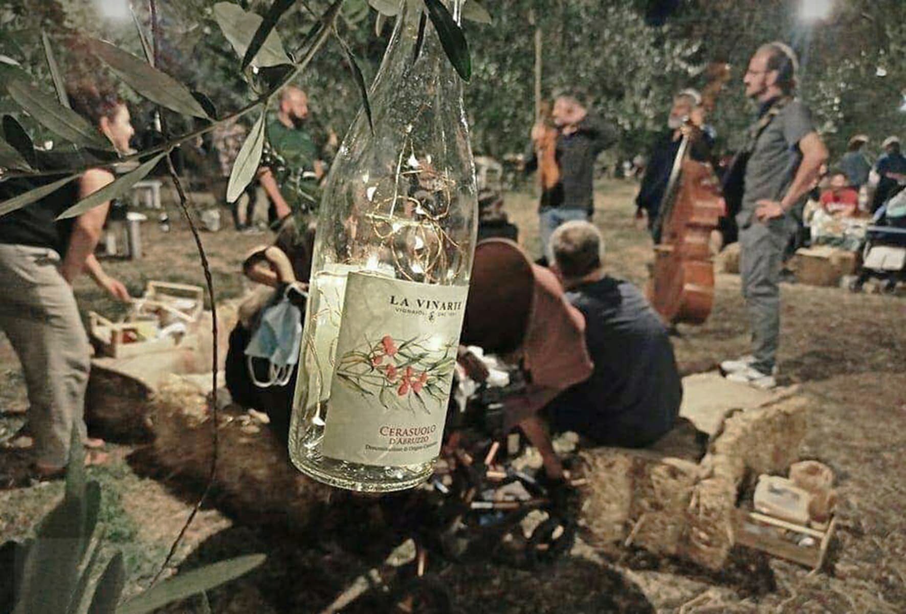 Piquenique sob o luar | Azienda Agrícola La Vinarte foto 4