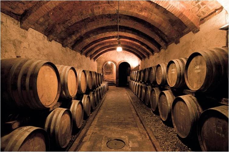 Fattoria Pietrafitta photo 4