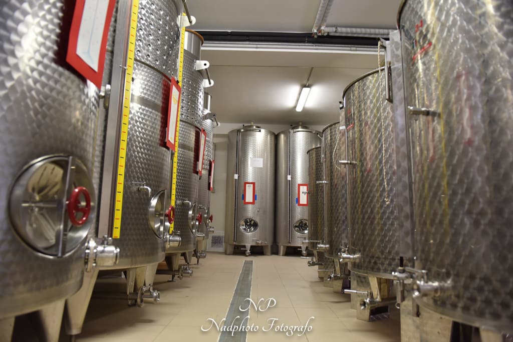 Destaque de Azienda Agricola La Vinarte