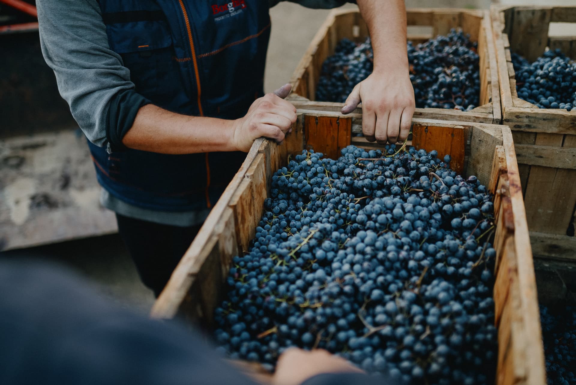 La Piana Winery photo 4