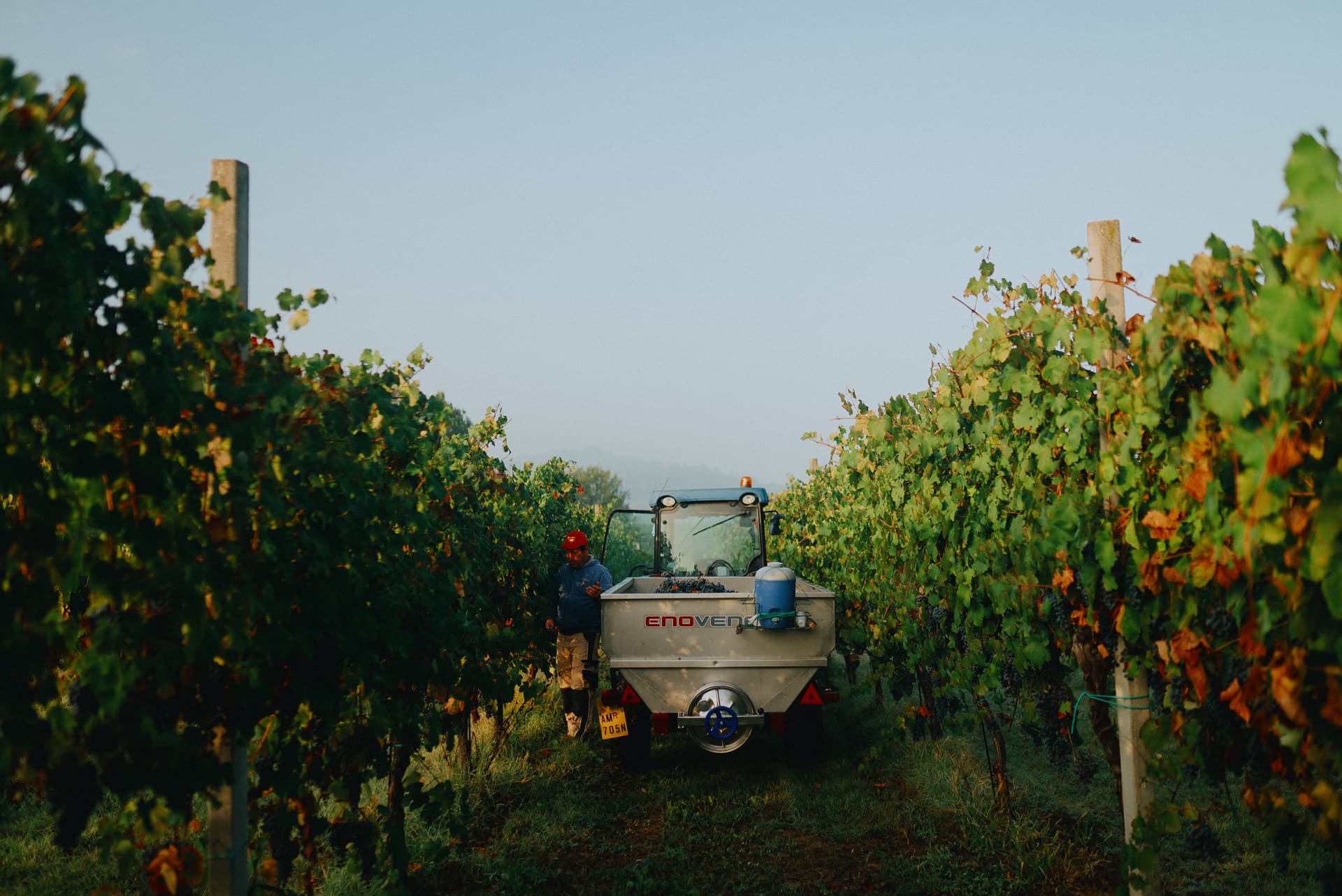 La Piana Winery photo 5