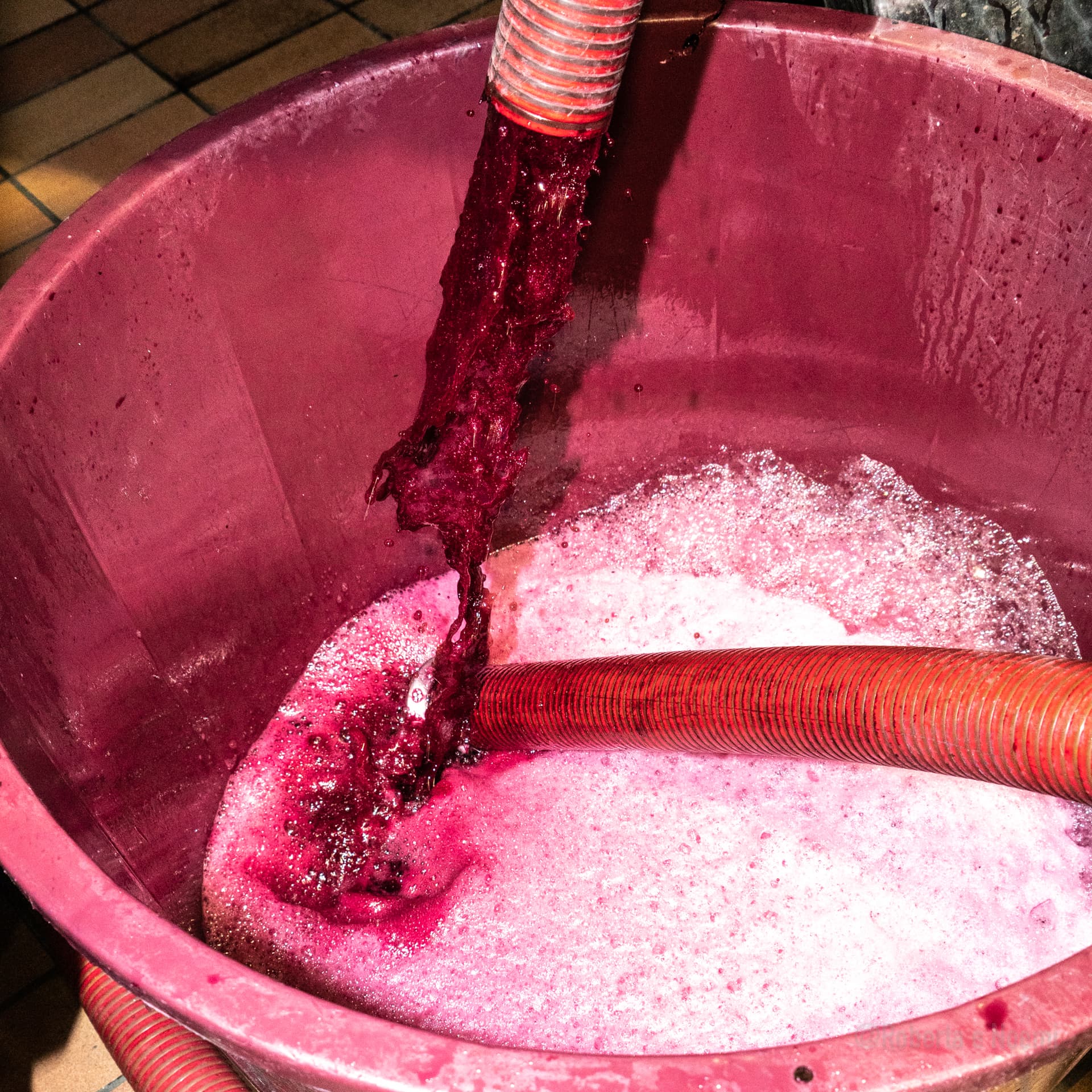 Visita e degustação de vinhos no Castello di Corbara foto 4