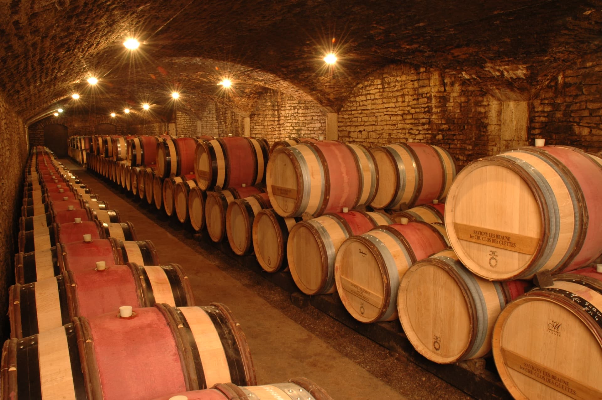 Terroir vinprovning på Domaine Henri de Villamont foto 5