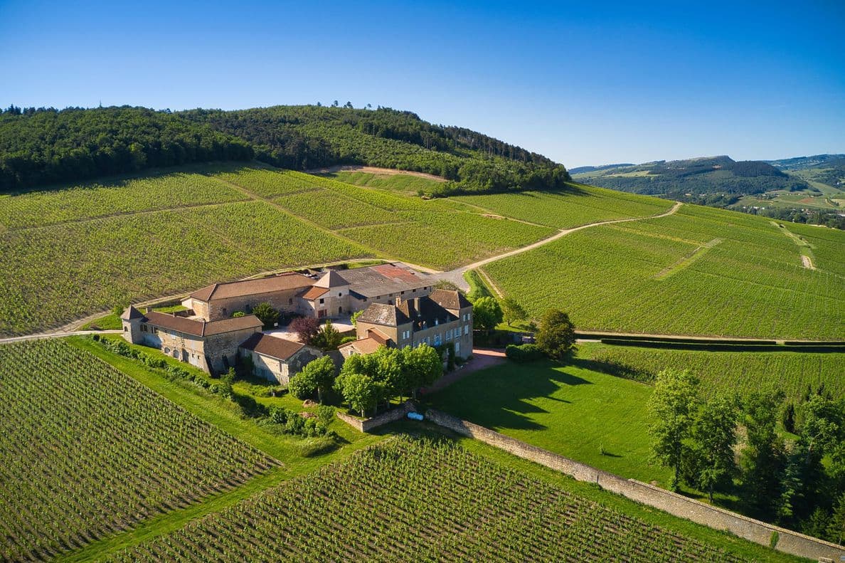 Weinprobe und Führung im Château de la Greffière Foto 2