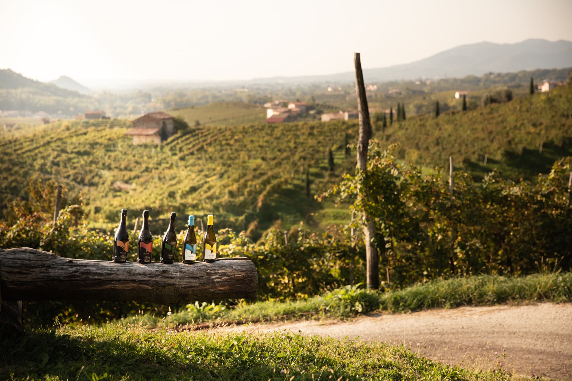 Veneto Vineyard Tour & Wine Tasting at Follador photo 3