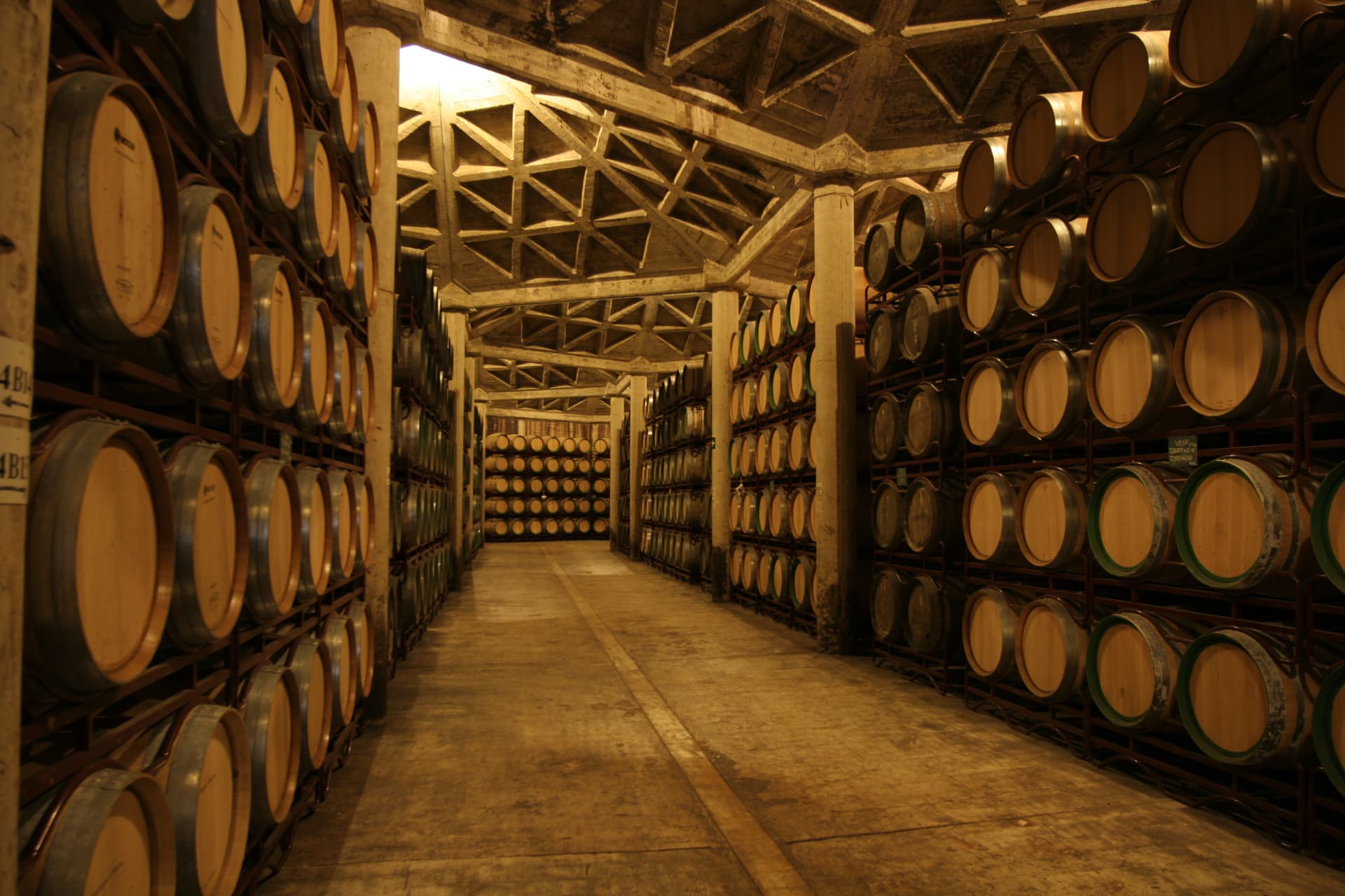 Visita Bodega Olarra en el corazón de La Rioja foto 4