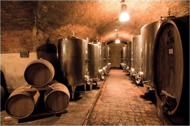 Pietrafitta Wine Experience photo 3