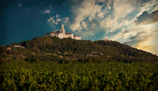 Pannonhalma Archabbey Winery